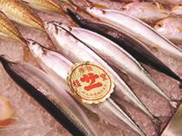 秋刀魚の画像