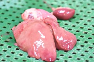 ハツ・レバー（鶏）画像